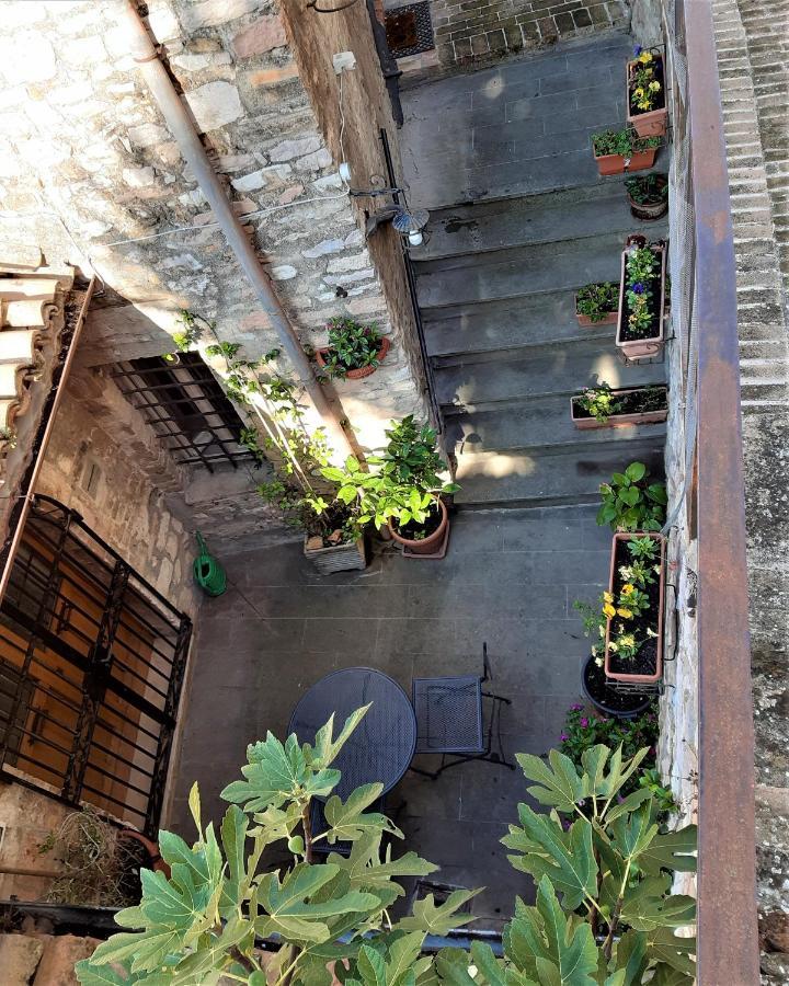 Apartment La Casetta De Sotto